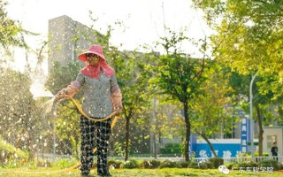 女性有多种角色 但就是女性这种角色 让世界更加出色